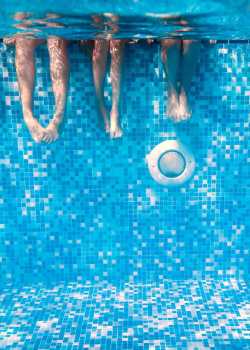  pool cleaners websites